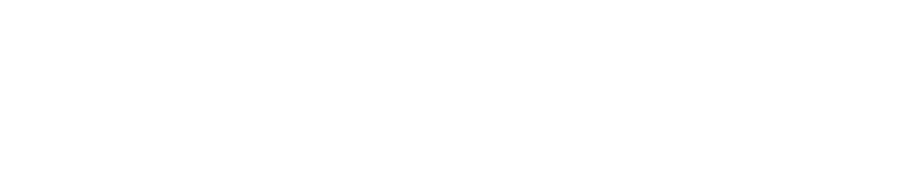 Visability logo